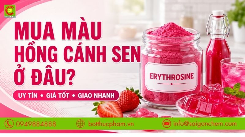 Mua Màu Hồng Cánh Sen Ở Đâu Uy Tín, Giá Tốt Tại TP.HCM?